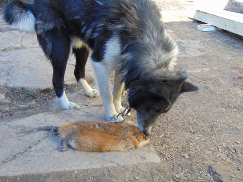 DSC00004.JPG