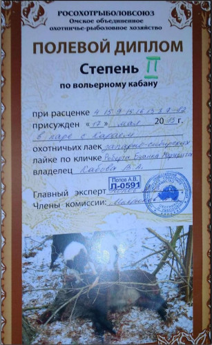 12.JPG