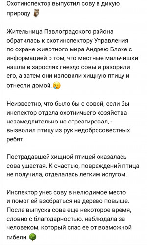 Screenshot_20200601_121604.jpg