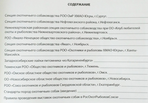 05.jpg