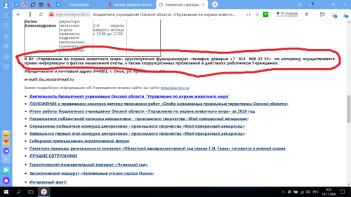 Горячка бюджетки.png
