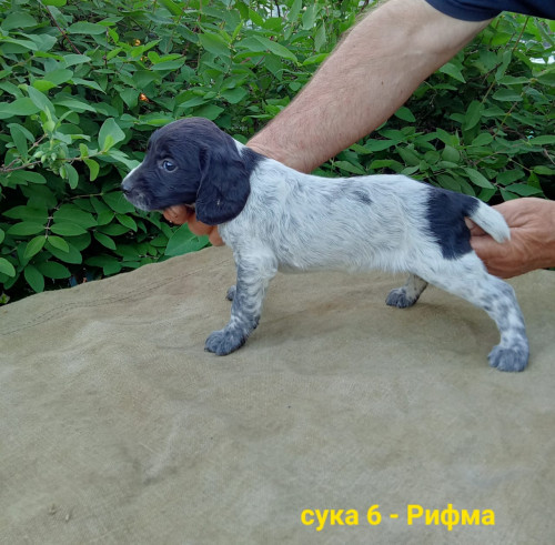IMG-20210702-WA0015.jpg