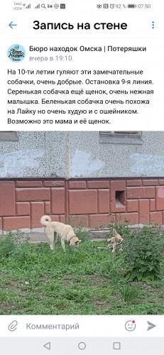 Screenshot_20210722_075002_com.vkontakte.android.jpg
