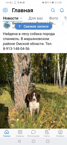 Screenshot_20210930_113002_com.vkontakte.android.jpg