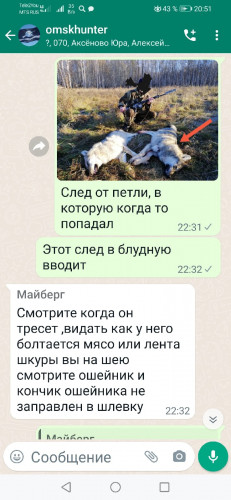 ZId52HVXJUQ.jpg