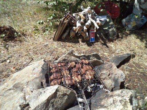DSC00172Шашлычек 1 .jpg