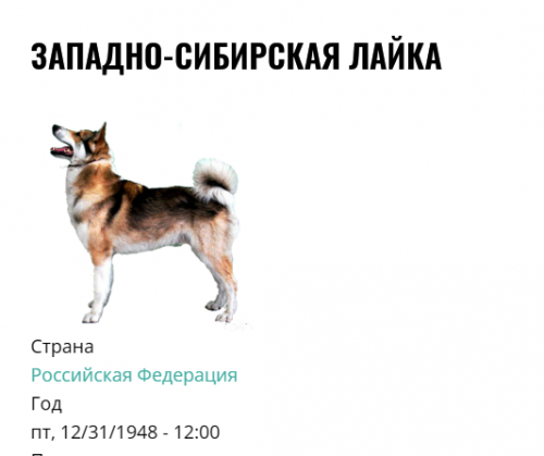 ЛЗС.png
