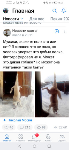 Screenshot_20220204_180908_com.vkontakte.android.jpg