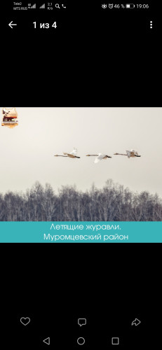 Screenshot_20220405_190631_com.vkontakte.android.jpg