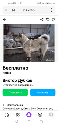Screenshot_20230402_203643_ru.yandex.searchplugin.jpg