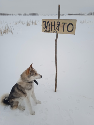 Занято.jpg