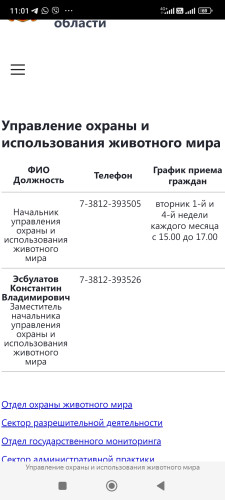 Screenshot_2024-10-21-11-01-33-834_com.yandex.browser.jpg