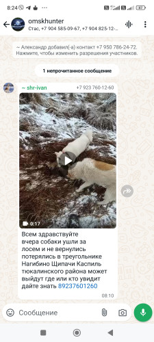 Screenshot_2024-11-08-08-24-39-175_com.whatsapp.jpg