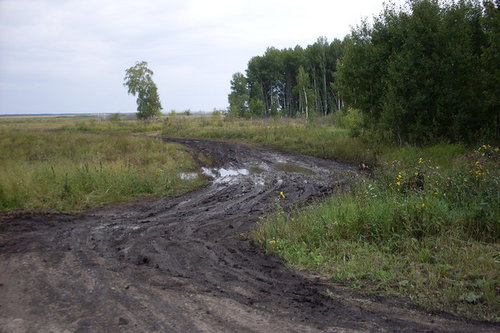 дороги.JPG