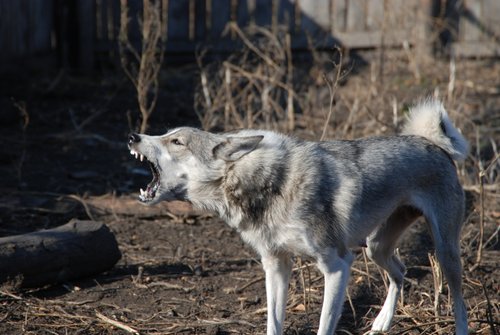 DSC_6015_01.JPG