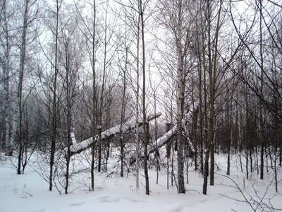 P1161850.JPG