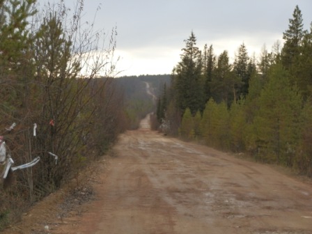 дорога.JPG