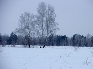 P1161845a.jpg