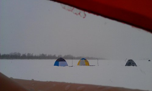 IMAG0735-1.jpg
