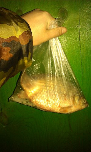 IMAG0762-1.jpg