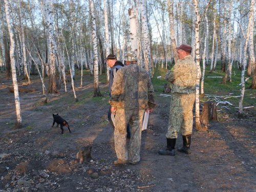 Перри.jpg