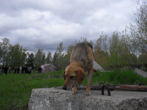 SDC10146.JPG