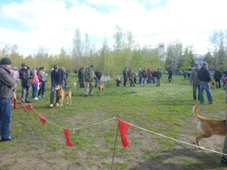 P10509191.jpg