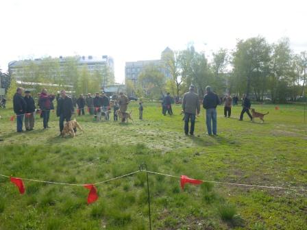 P10509181.jpg