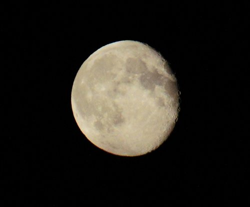 DSC00436.jpg