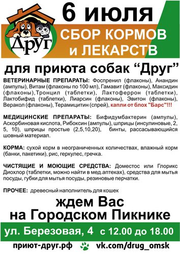 ДругПикник.jpg