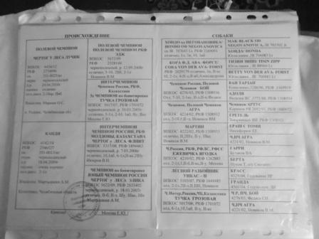 DSCN1050.jpg