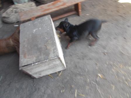 DSCN1005.jpg