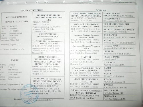 DSCN1055.jpg
