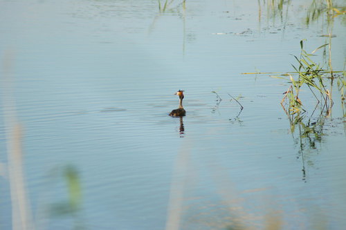 DSC00541.JPG