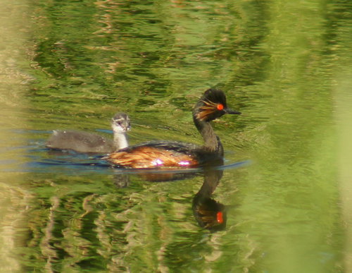 DSC00545.JPG