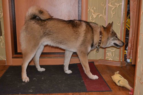 DSC_0308_2.jpg