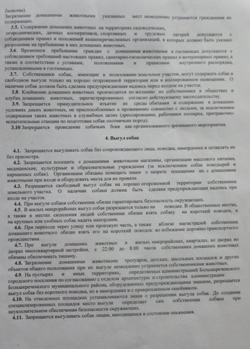 правила.jpg