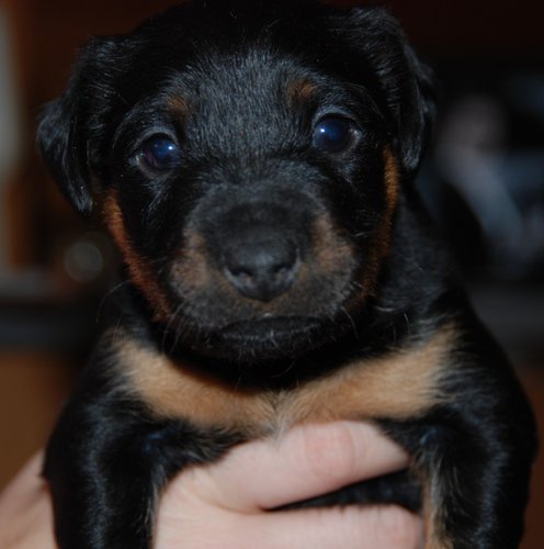 DSC_8746 об_01.JPG