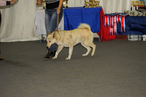 DSC09419.JPG