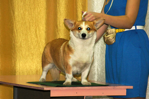 DSC09424.JPG