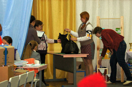 DSC09429.JPG