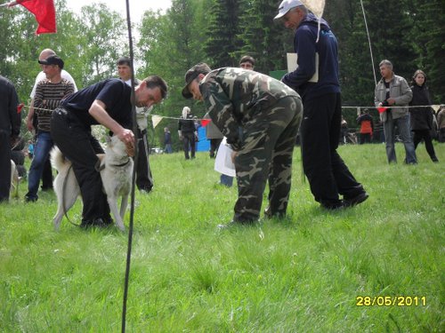 SDC10998.JPG