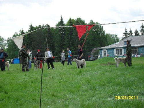 SDC11012.JPG