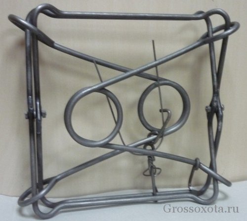 cruCePtaPV8.jpg