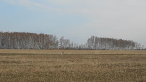 DSCN43961.jpg