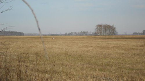 DSCN43921.jpg