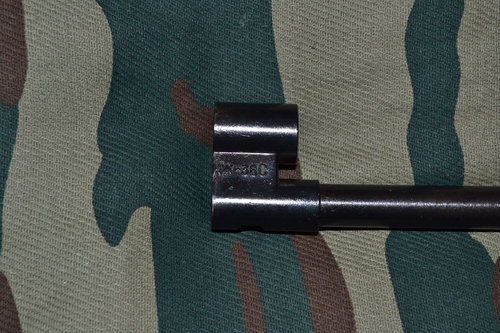 DSC_1488.JPG