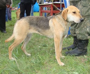 мл д 4 Озорка Чмыликов ВД.JPG