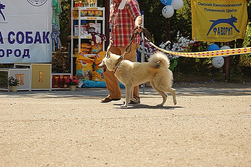 DSC08961.JPG
