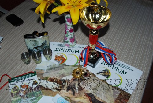 DSC_1937_01.JPG